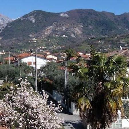 House Versilia Luca E Giada, 5 Chilometri Da Forte Dei Marmi! Eksteriør bilde